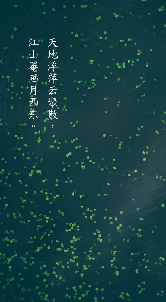 谷雨一候 萍始生 最美最初的萍水相逢 腾讯新闻