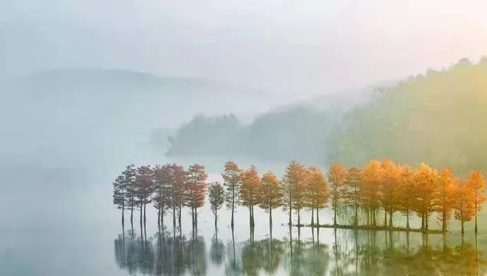 养心铁山寺,仰星天泉湖