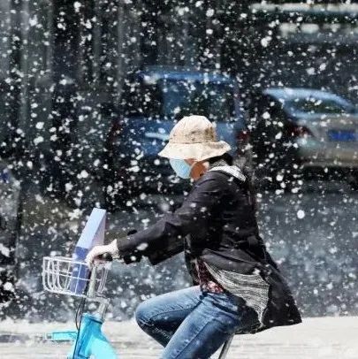 为了让杨柳絮消失这些方法亮了