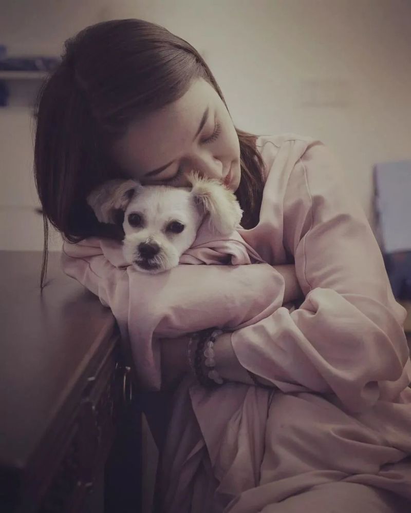 花了38 万元 我克隆了爱犬 腾讯新闻