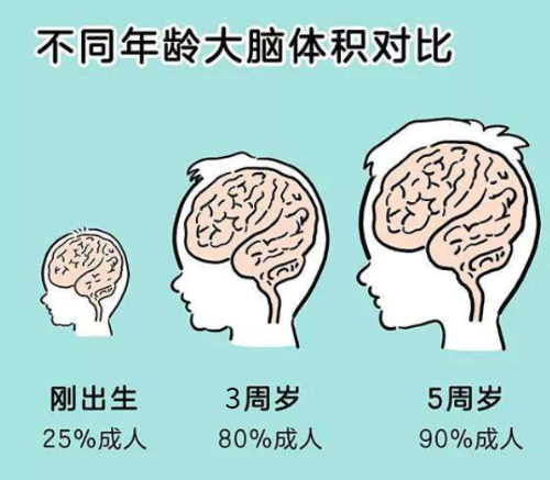哈佛研究表明:儿童大脑发育的高峰期一生只有3次,错过不可重来