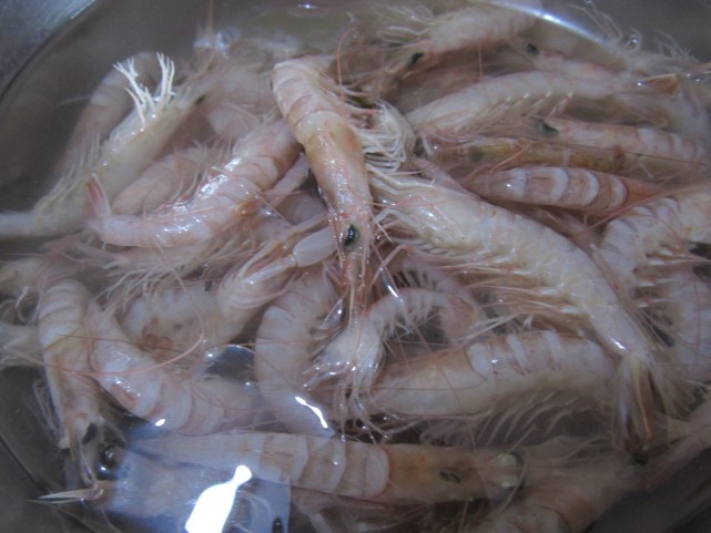 威海特产鹰爪对虾来了鲜得咬到舌头晒出的金钩虾米您吃过吗