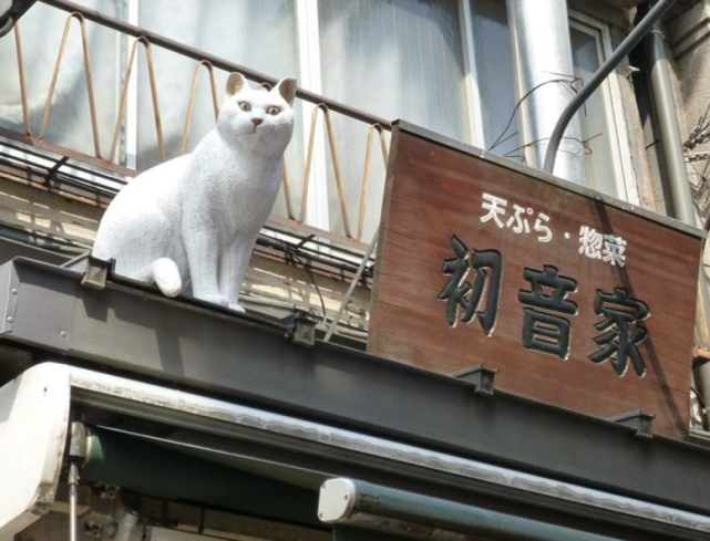 铁道迷和猫奴 疫情后去看看翻新过的 日暮里站 朝圣吧 猫奴 猫咪