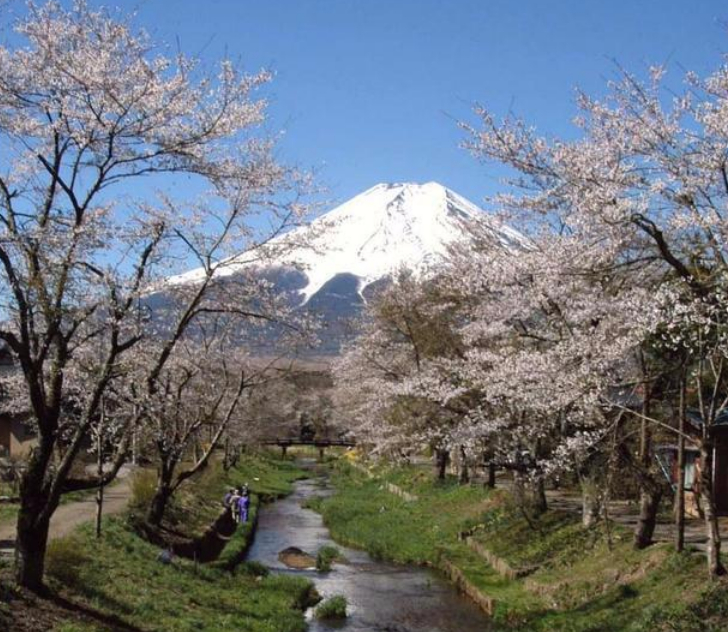 原以为富士山是日本的 没想到是 租 来的 游客 大手笔啊 腾讯新闻