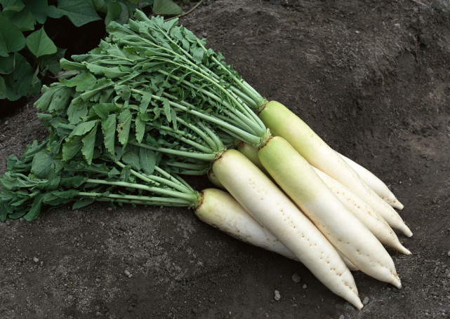 喝中药的特殊禁忌