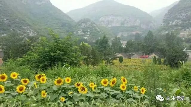 博爱许湾村这里风景独好