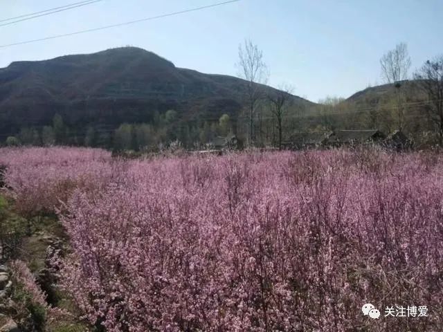 博爱许湾村这里风景独好