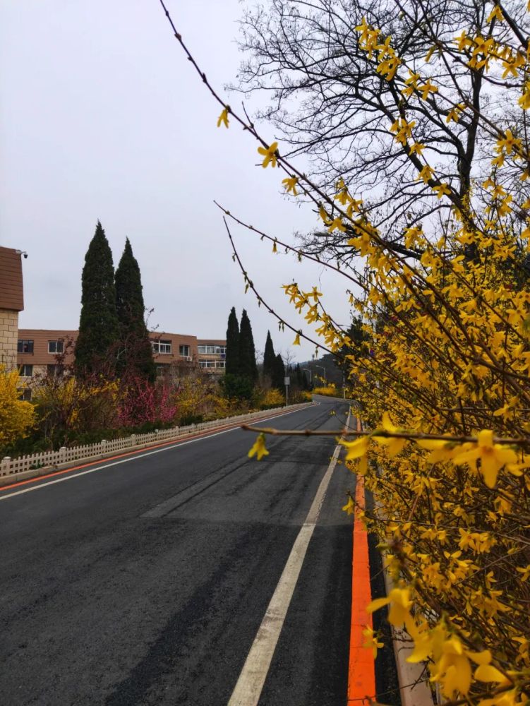 大连最美公路迎宾路