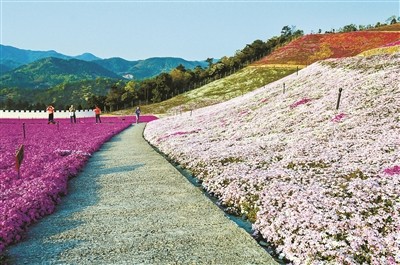 达人谷逛山,游湖,赏花一体,成为城郊休闲游网红打卡地.(张正伟 摄)