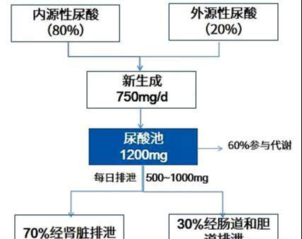 鱼汤里面放蔬菜 嘌呤会下降吗 尿酸高能吃鱼吗 医生详细告诉您 腾讯网