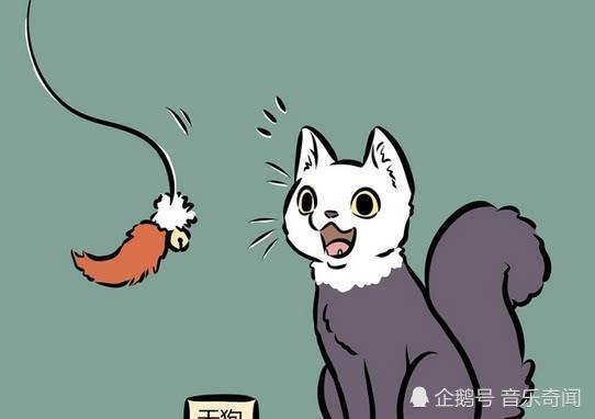 非人哉:需要房产证才上钓的狸力,只有敖烈能hold住!_腾讯新闻