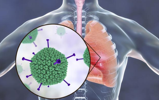 通常说来,人体针对病毒产生的抗体,对于人体的保护作用,可以持续数月