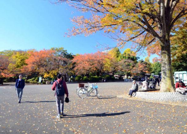 四季不相同的梦幻美景 东京上野公园春夏秋冬的迷人之处 腾讯新闻