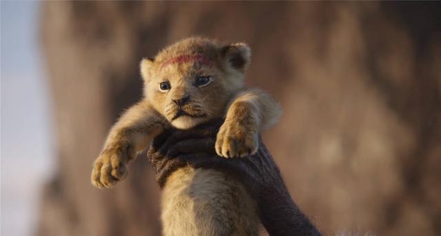 然后指挥土狼去刺激角马,角马群朝小狮子辛巴狂奔了过来,再一次狮子王