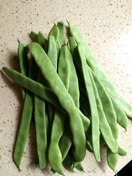 干煸四季豆炸过之后再炒简单快捷又好吃