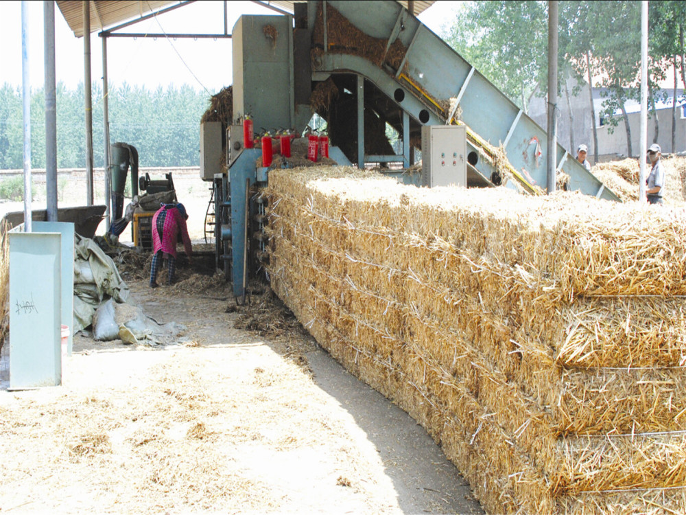 玉米秸秆粉碎后有10公分厚小麦播不了种怎么办