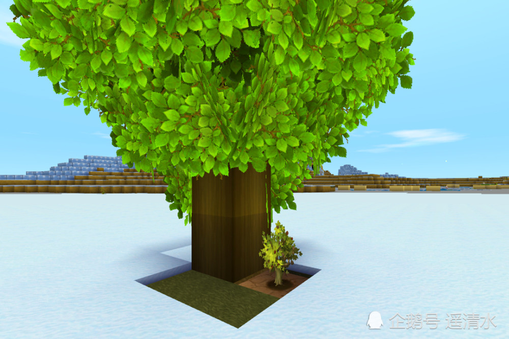 迷你世界 地下树屋 超隐蔽洞府