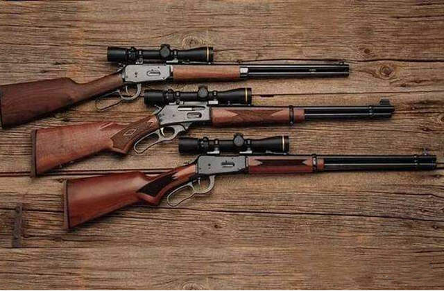 美国最受欢迎民用步枪排名:每一把都很独特,有些军迷都不认识
