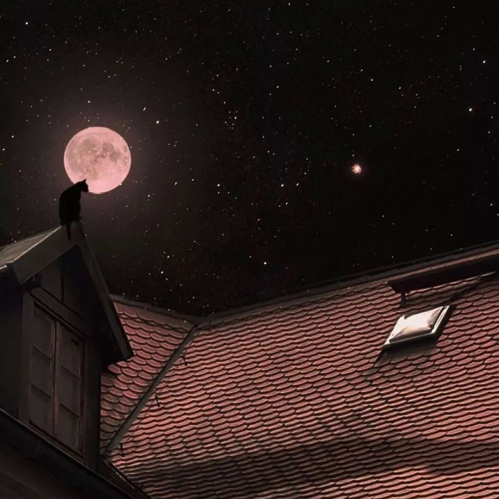 微信朋友圈封面图