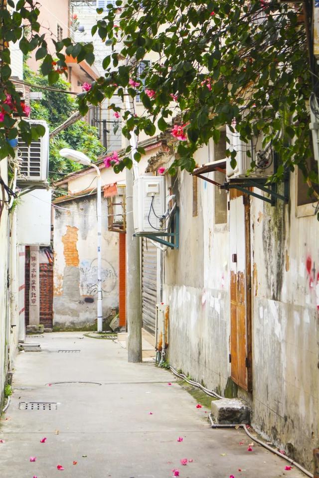 久违了,琅琅书声的桂坛巷,还有美食!