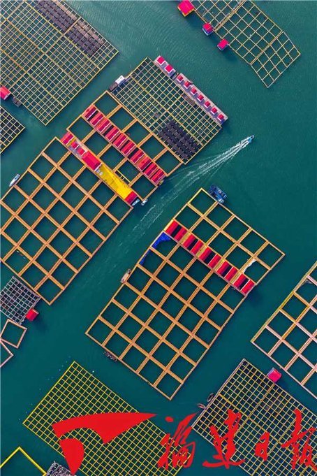 一艘快艇在霞浦新型海上养殖场的航道上行驶