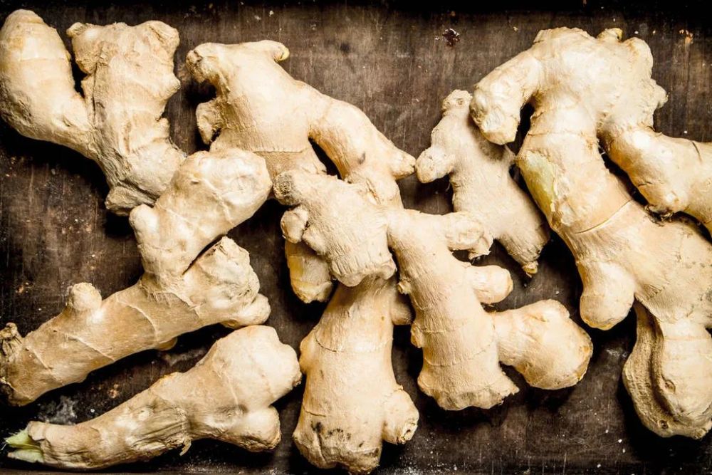 中国一抓一大把的生姜 国外都抢疯了 腾讯新闻