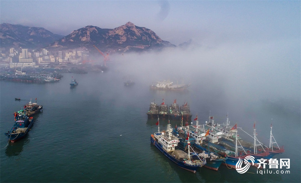 平流雾笼罩威海石岛 出海渔船披上神秘薄纱