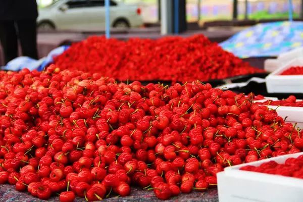 安丘石埠子草莓市场图片