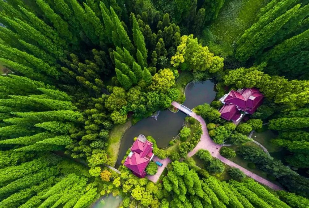 崇明·明珠湖公園實景,東平國家森林公園實景,西沙溼地實景上海長江隧