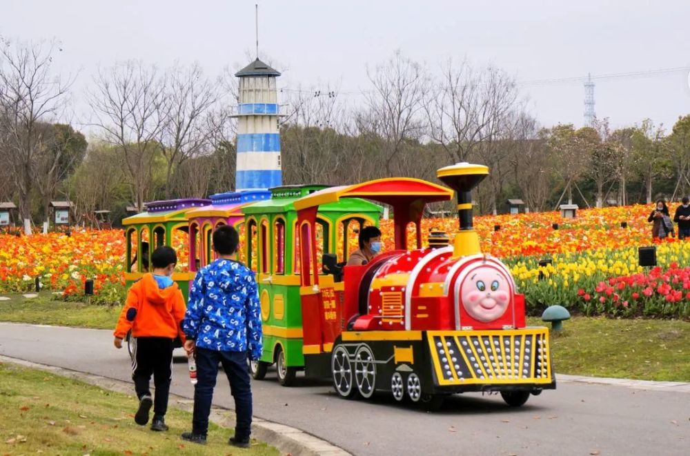 六安抹茶村明日盛大开园百合花海邀你来约会