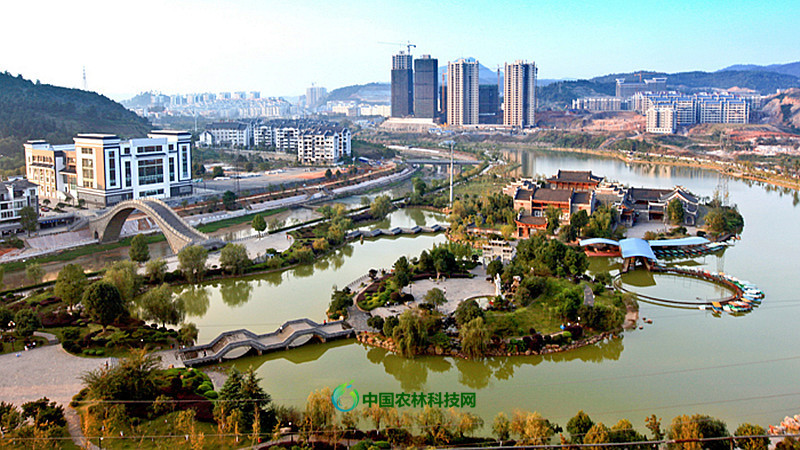 高椅岭美的一塌糊涂一县一品湖南苏仙区特产禾花鱼