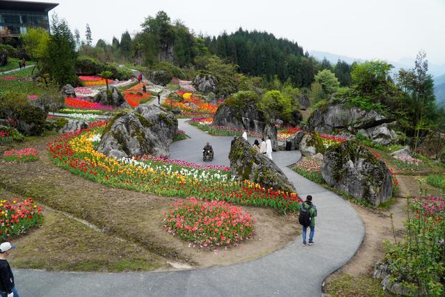 沐浴清风雅雨 走进黑石公园 共赏郁金花开