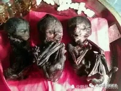 初中女生迷恋上养小鬼原创短评莫让古曼童危害童心