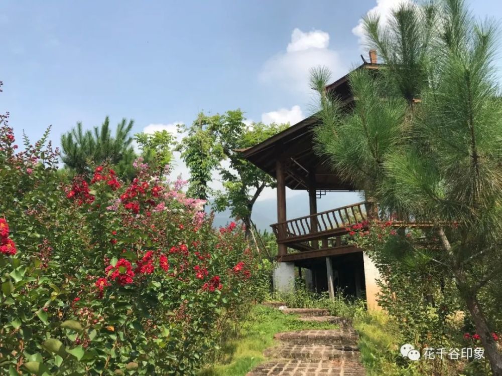 阳光暖暖每个冬天的句号都是春暖花开的模样4月18日安溪花千谷