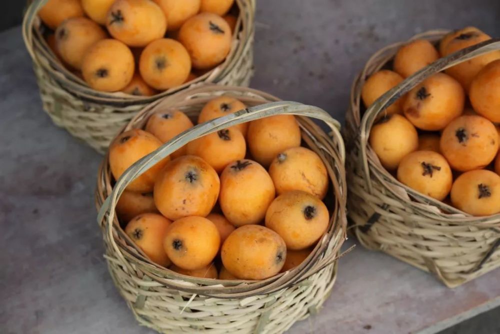 杭州人爱吃的这种水果最快下周上市你馋了吗