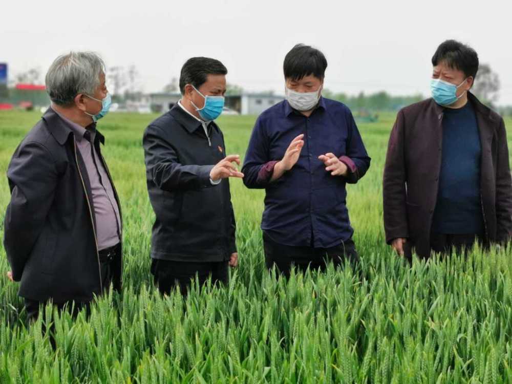 河南省全力抓好春季农业生产和病虫害防治