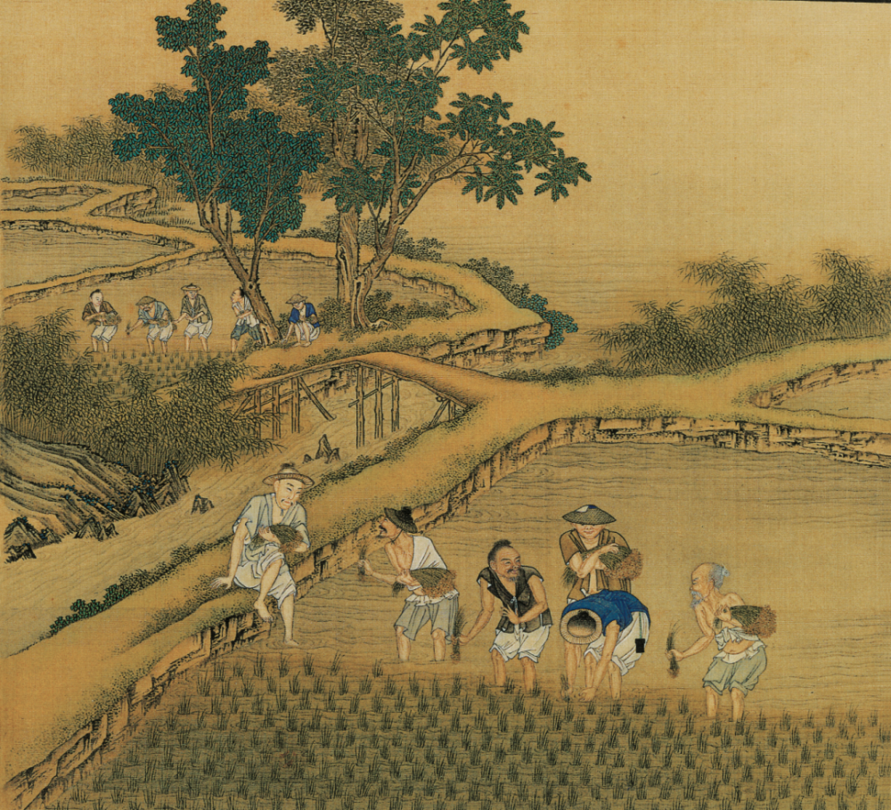 你想归隐山林吗先从种地学起吧