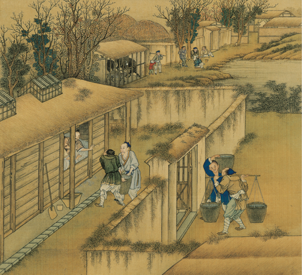 你想归隐山林吗先从种地学起吧