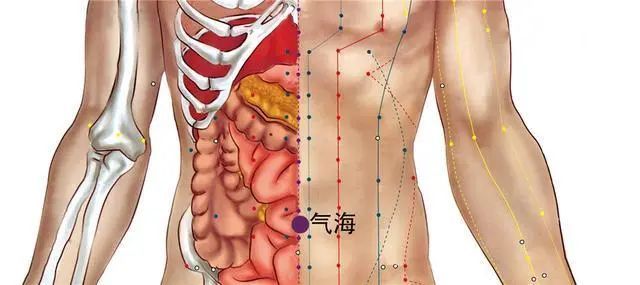 胃脘在哪个位置图片