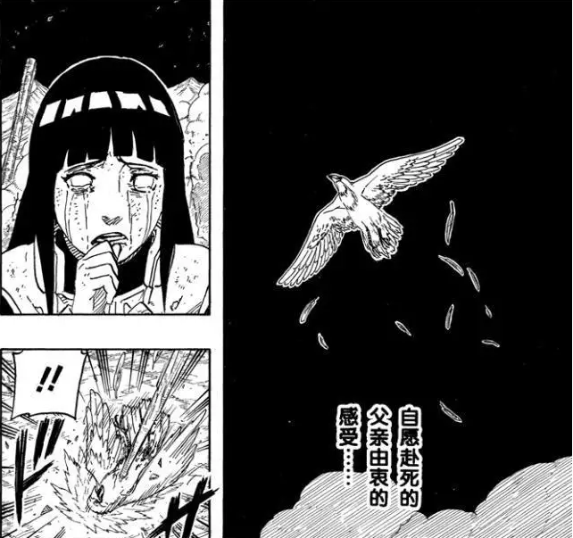 很明显,漫画中出现的这只鸟其实代表的就是宁次,宁次想摆脱命运就像