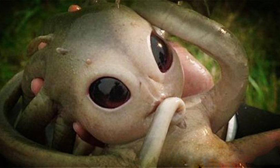 1983年轰动一时的苏联外星婴儿到底是怎么回事