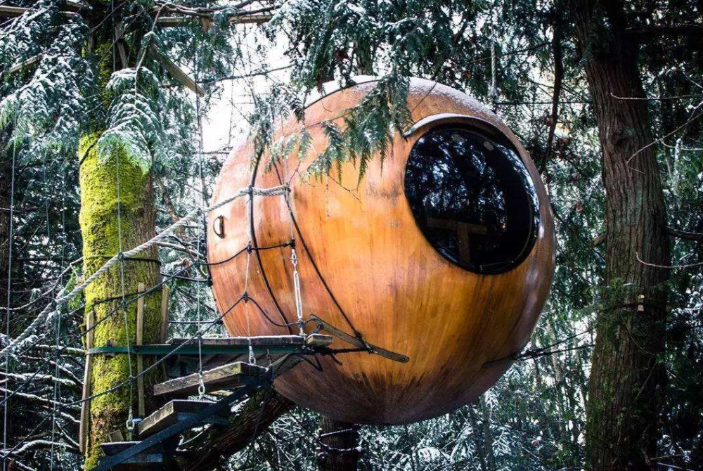 世界最恶心酒店大肠的外形居然抢着住