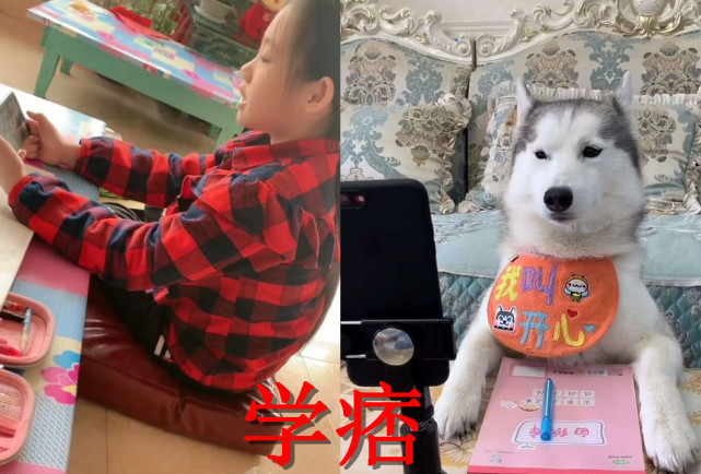 在家上网课差距有多狠学霸vs学痞看到最后活该成绩差