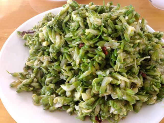 富平人,"五一"放假 回家吃槐花菜啦!