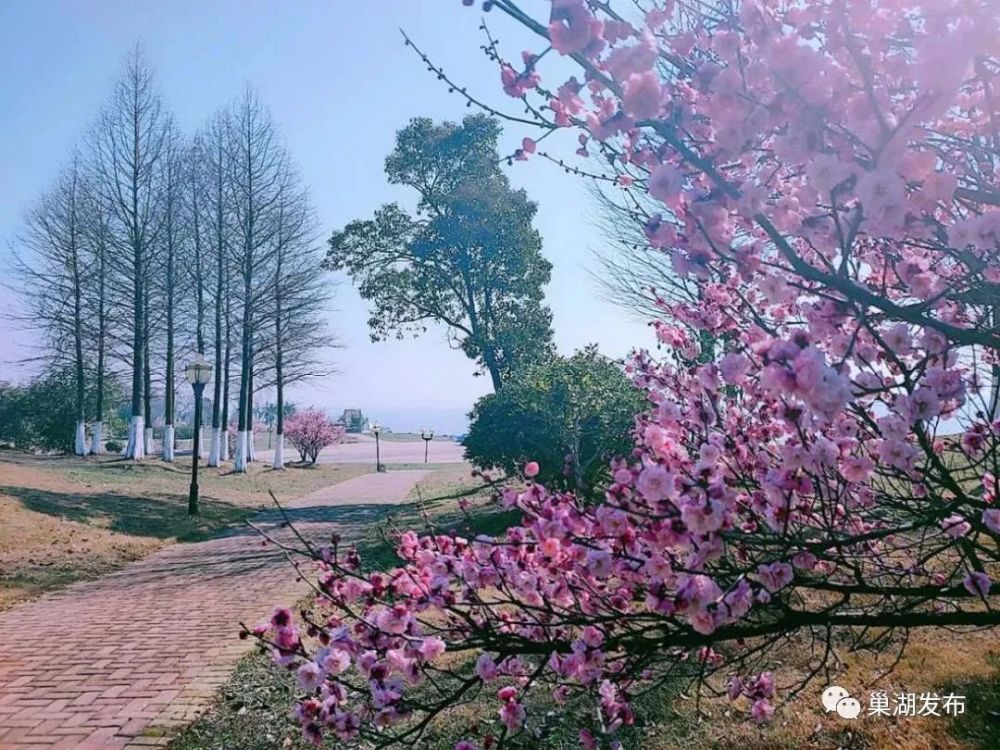 懶園宜居,近年來,中廟街道聯合高速雲水灣小區共同對懶園環境改造提升