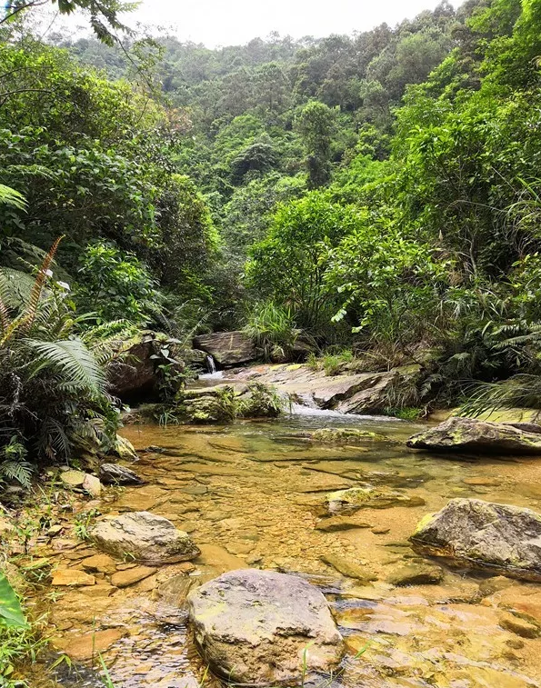 博白县凤山镇_腾讯新闻