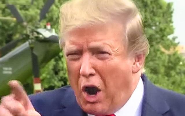 特朗普|特朗普建议推迟2020大选致轩然大波，党内大佬斥骂：不是好主意