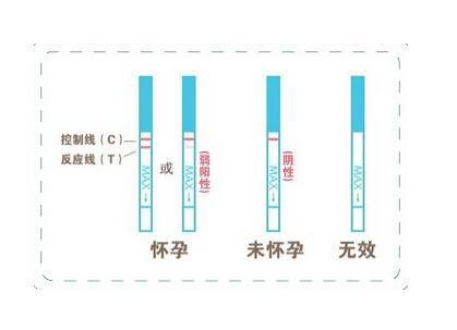 怀孕后你别急着兴奋 这4件小事儿 还是要踏实做好了 腾讯新闻