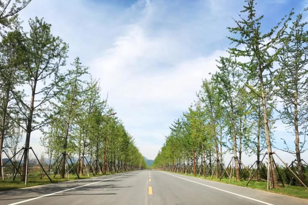 来看看日照最美旅游景观公路