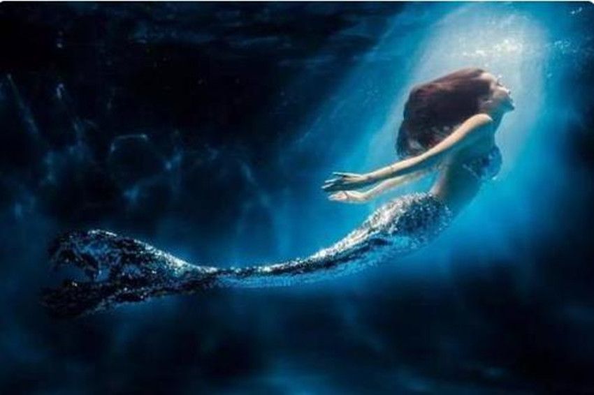 揭秘80年代南海人鱼事件美人鱼真实身份或与海底文明有关